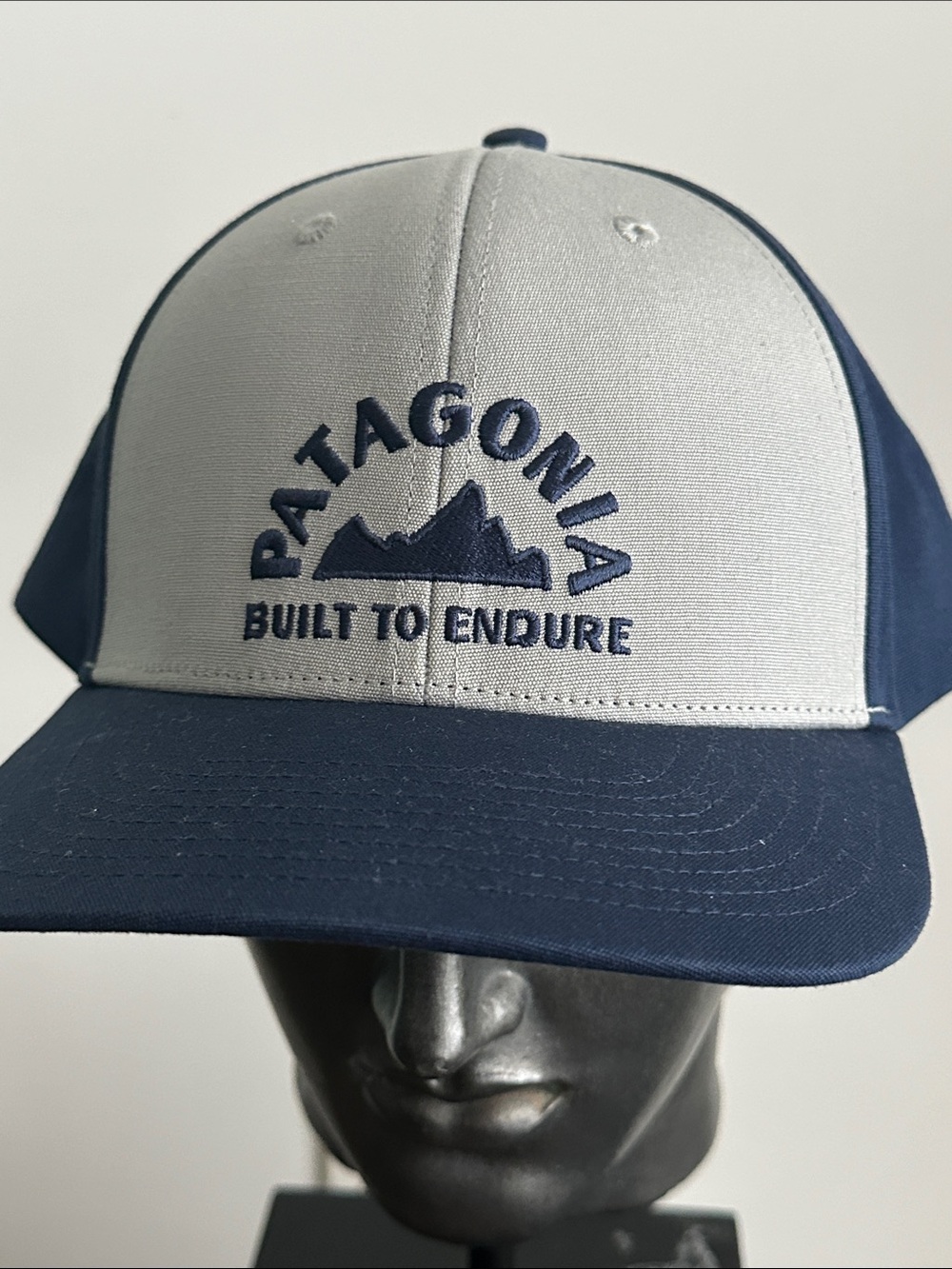 Patagonia Geologers Built to Endure Hat